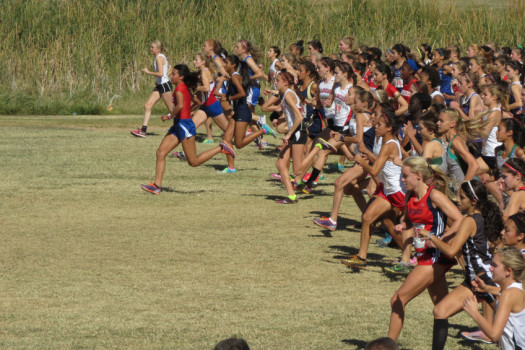 Cross country runners qualify for state competition