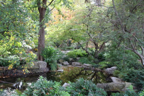 A visit to the Dallas Arboretum
