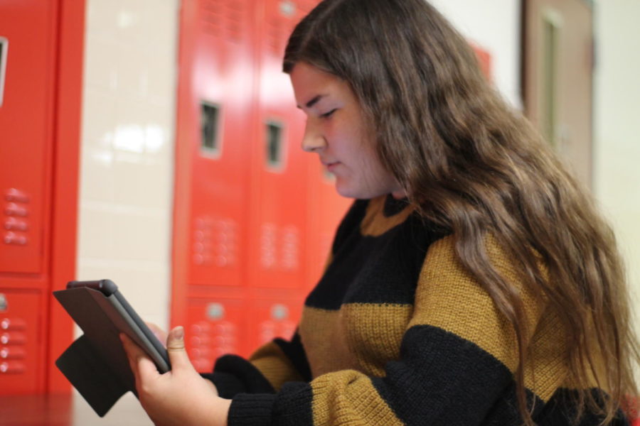 Junior Julia Campopiano digitally paints on her personal iPad by using her finger and the app Procreate. To find Campopiano’s YouTube channel search her name.
