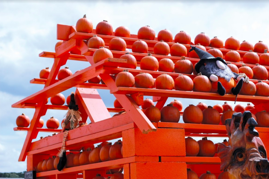 The Pumpkin House is a popular spot for families taking photos. Like those in the field, these pumpkins are also available to buy. 