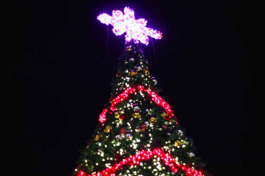 The local area offers many festive events to spread Christmas cheer. Pictured is the large Christmas tree from last years Village Glow event in the Shops of Highland Village. 