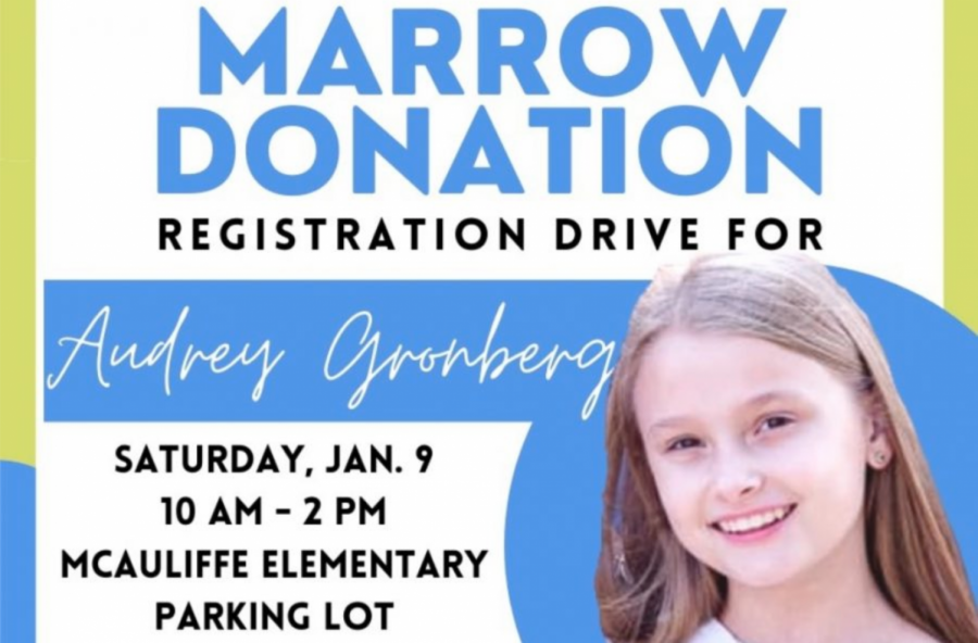 The registration drive will take place from 10 a.m. to 2 p.m. at McAuliffe Elementary School. It is being held in hopes of finding a match for Briarhill Middle School seventh grader Audrey Gronberg, who has severe aplastic anemia. 