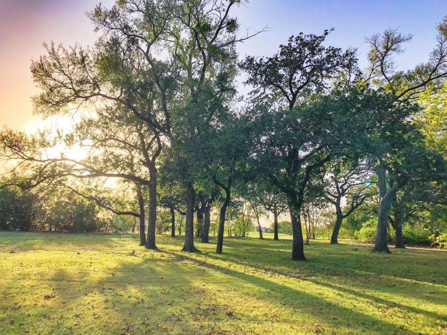 Heritage Park makes for a lovely nature-themed date.