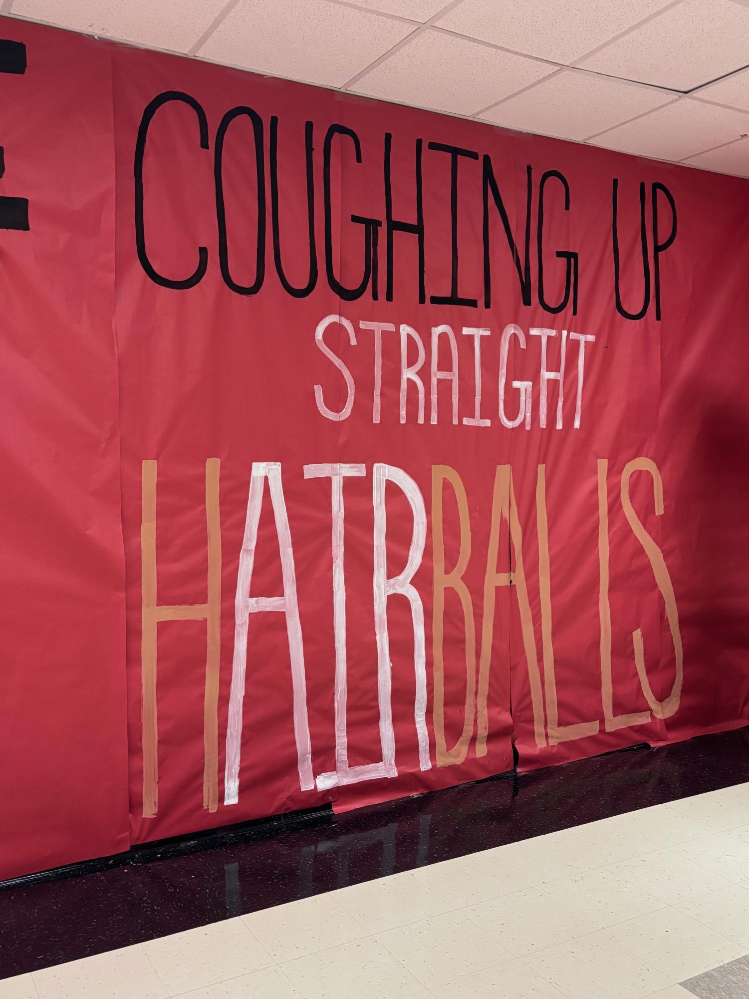 We appreciate the penmanship and simplicity of this poster. And it's difficult for our crosstown rivals to win if they're preoccupied with a hairball problem.